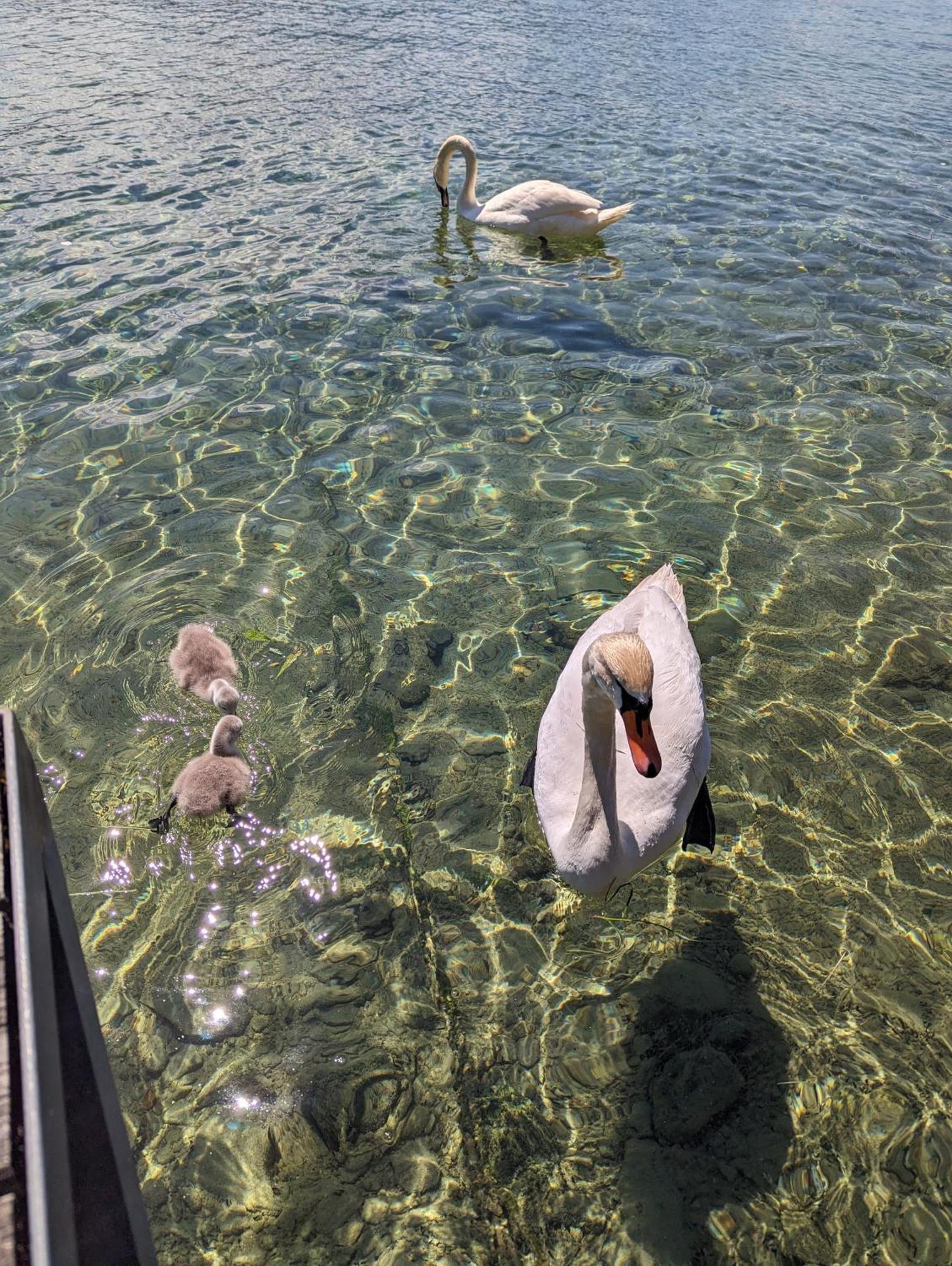 Seehaus Miglbauer Attersee エクステリア 写真